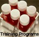 Training Blood Establishments